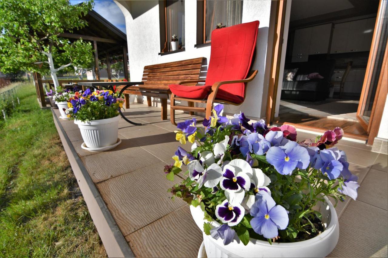 Guest House Blue Views Plav Bagian luar foto