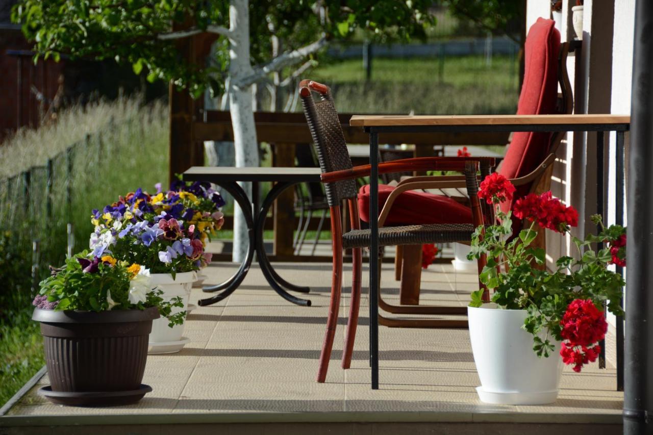 Guest House Blue Views Plav Bagian luar foto
