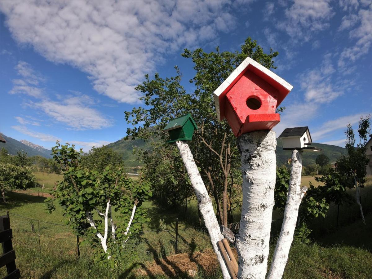 Guest House Blue Views Plav Bagian luar foto